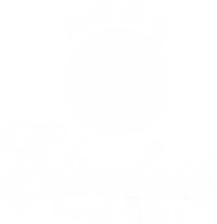 **** Hotel Elisabeth Fügen